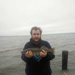 Meet your Posher, Nick